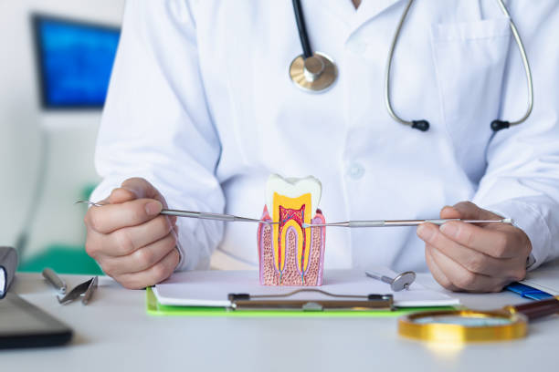 Best Emergency Dental Care for Broken or Chipped Teeth in Sunnyside, GA